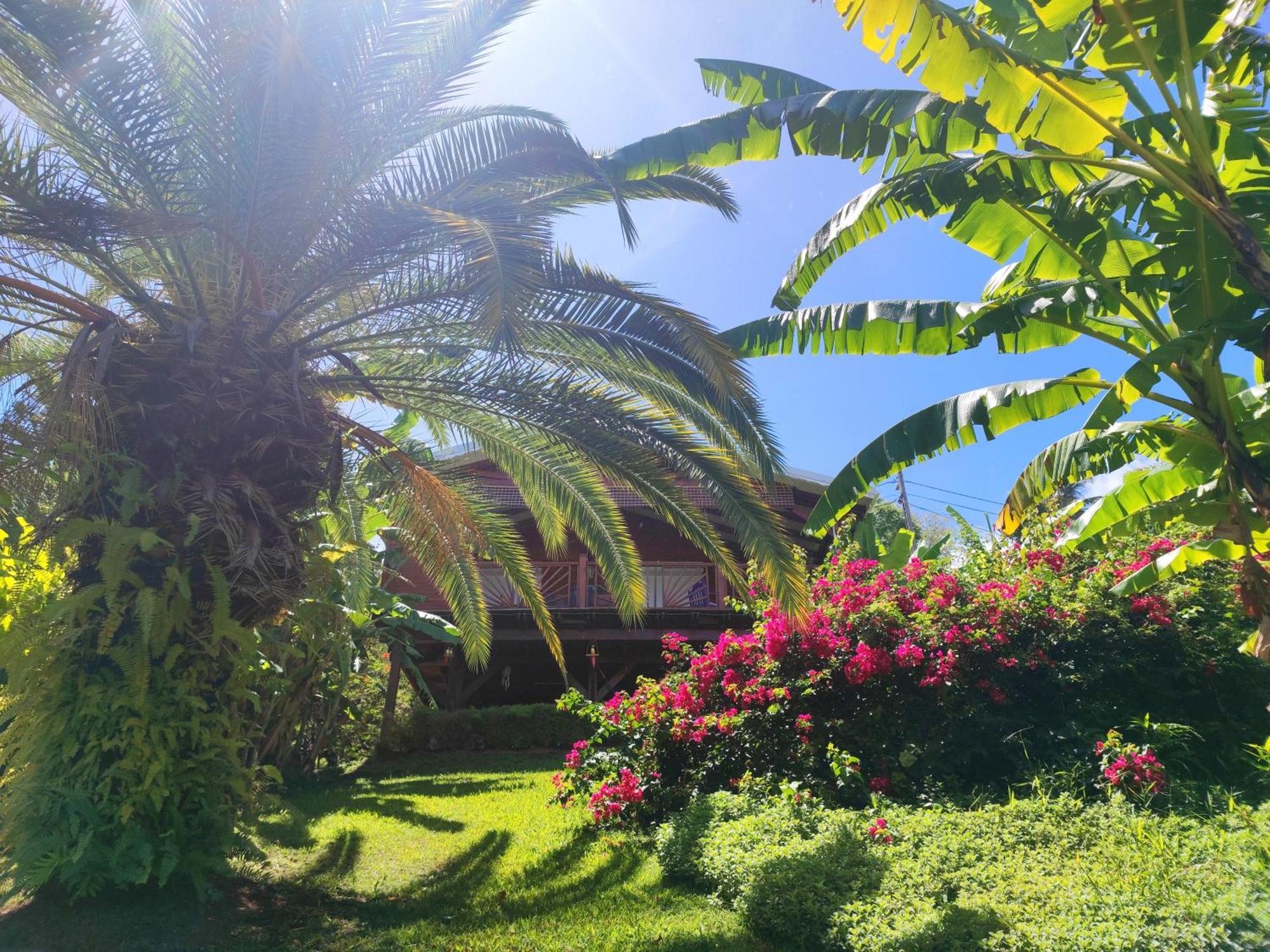 Gîtes De Standing Saint-Claude Basse-Terre Buitenkant foto