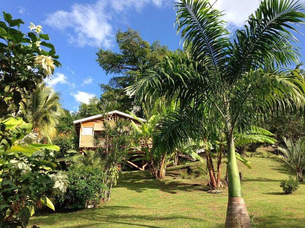 Gîtes De Standing Saint-Claude Basse-Terre Buitenkant foto